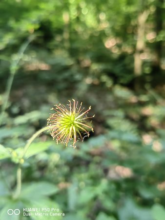 IMG_20220623_090811.jpg