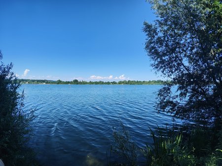 IMG20220623171134.jpg
