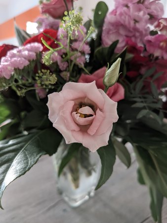 PXL_20220624_071303162.jpg
