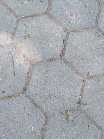 20220624_110240.JPG