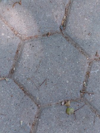 20220624_110253.JPG