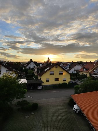 IMG_20220624_211229.jpg