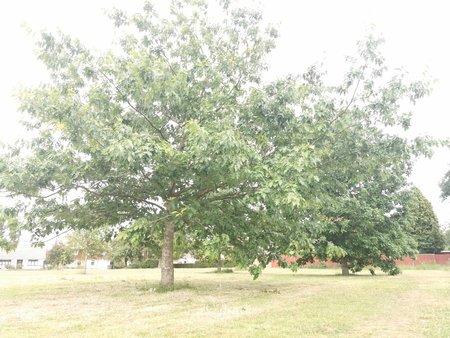 IMG_20220624_192807.jpg