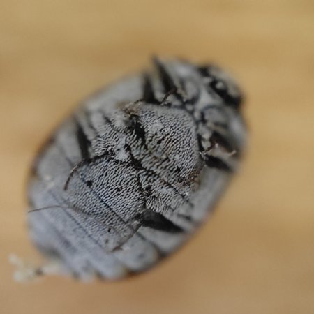 IMG20220626112740.jpg