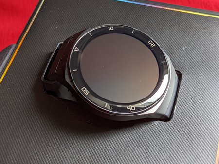 PXL_20220625_114120922.jpg