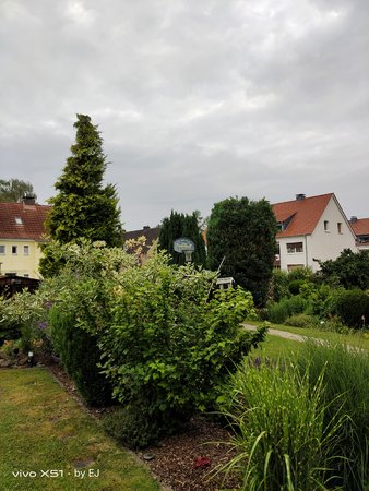 IMG_20220627_070051.jpg