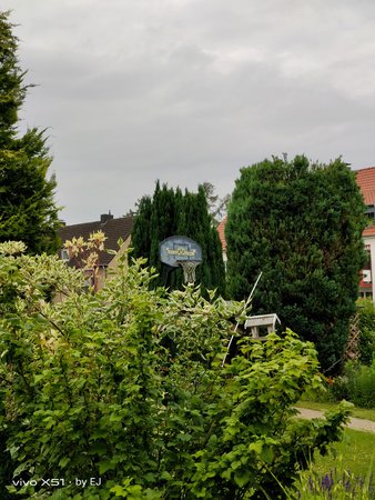 IMG_20220627_070048.jpg