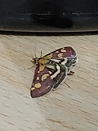 20220619_031657.jpg