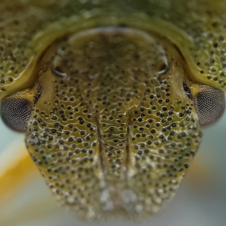 IMG20220628201334.jpg