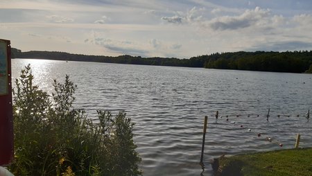 20220629_075012.jpg