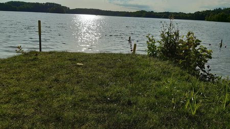 20220629_075824.jpg