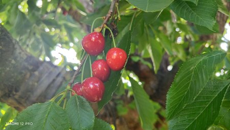 IMG_20220629_180635.jpg