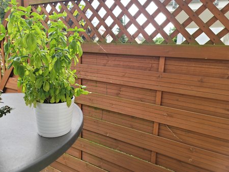 20220701_090003.jpg
