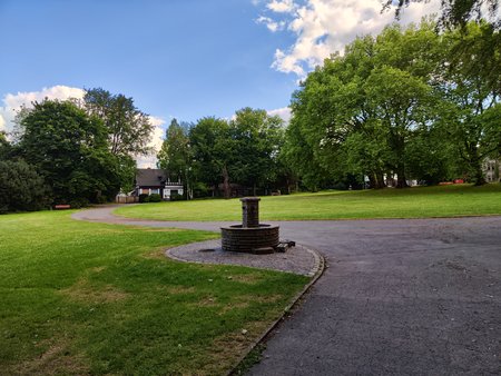 IMG_20220701_190643.jpg