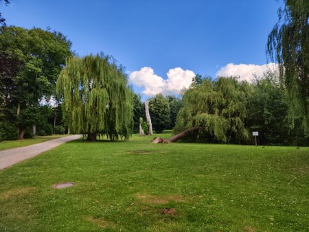 IMG_20220701_191246.jpg