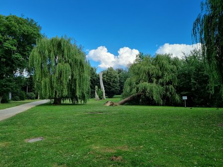 20220701_191235.jpg