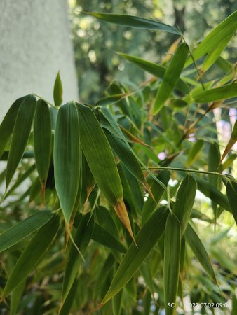 IMG20220702090603.jpg