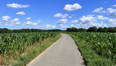 IMG_20220702_102231.jpg