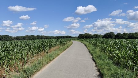 IMG_20220702_102240.jpg