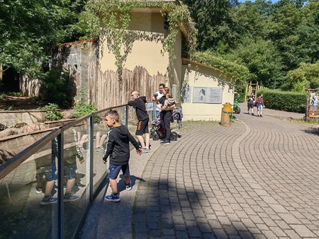 IMG_20220702_110920.jpg