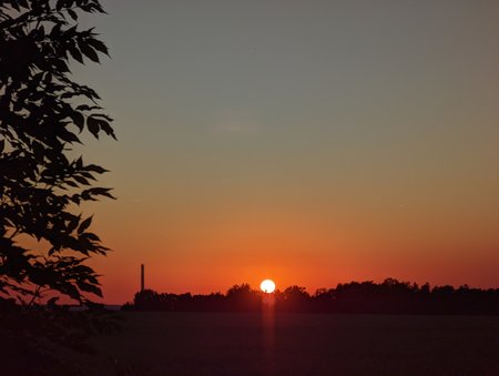 PXL_20220702_191908448.MP.jpg