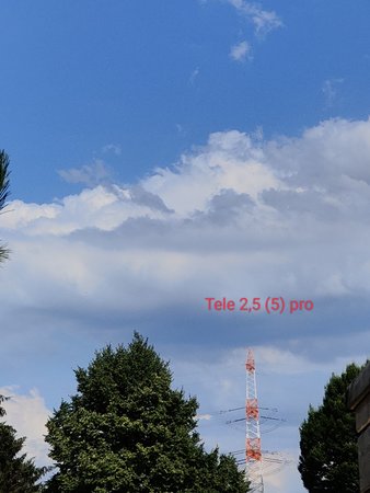 IMG_20220703_155031.jpg