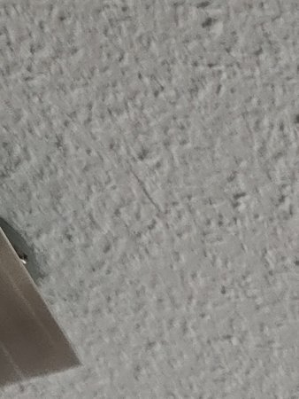 IMG20220704110214.jpg