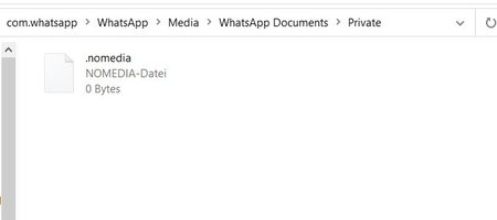 WhatsApp6.jpg