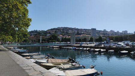 IMG_20220705_091153.jpg