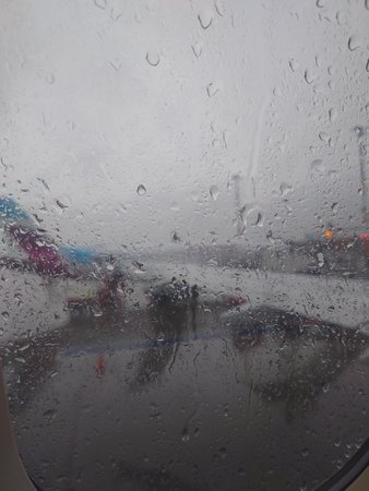 20220707_064211.JPG