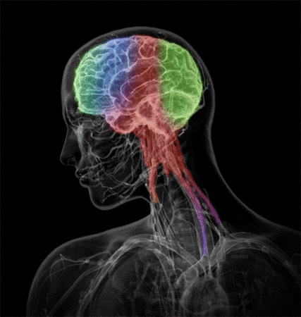 word-image.gif