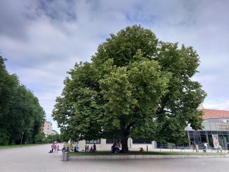 20220707_102441.JPG