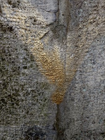 20220707_102842.JPG