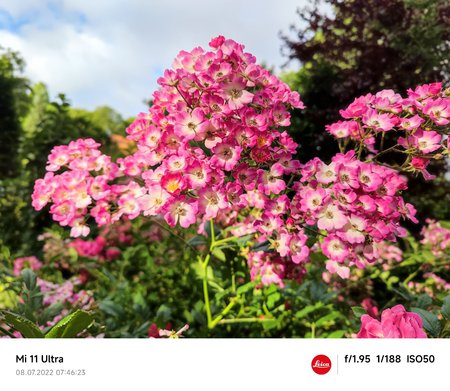 Mi  12 Ultra Camera app Photo2.jpg