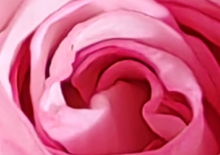 Rose Ausschnitt.JPG