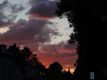 20220709_212004.JPG