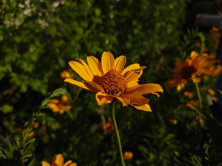 20220708_183718.JPG