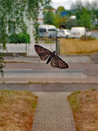 IMG_20220710_075330.jpg
