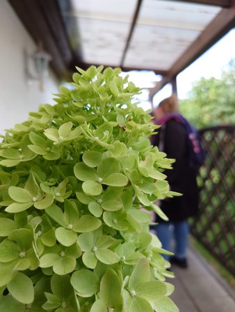 20220710_174138.JPG