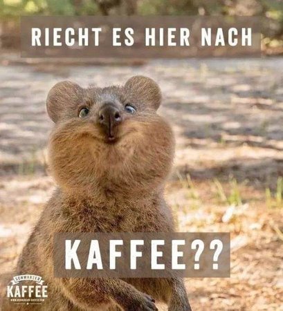 FB_IMG_1657228866632.jpg