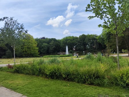 IMG_20220709_160335.jpg