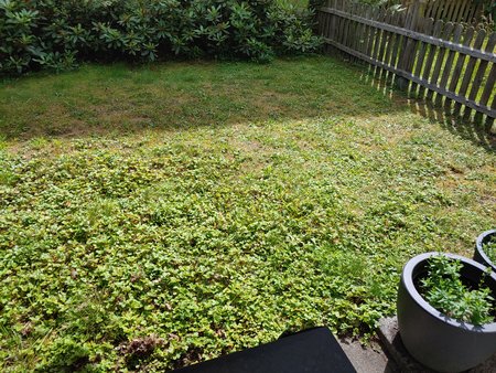 20220712_153228_HDR.jpg
