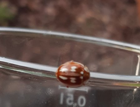 20220712_200356.jpg