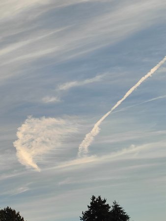 IMG20220712211331.jpg