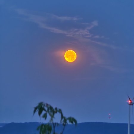 20220714_050025.jpg