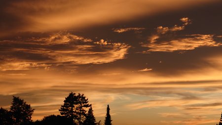 20220713_212442.JPG