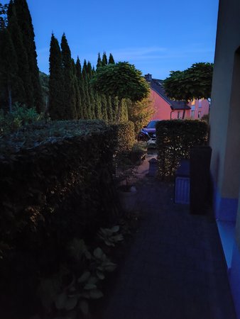 IMG_20220714_222322664.jpg