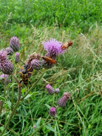 20220715_080949.jpg