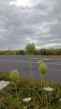 IMG_20220716_090235.jpg