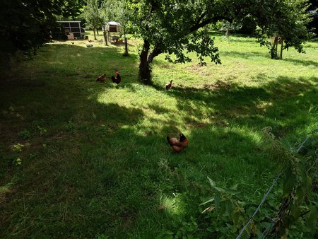 20220716_093800.JPG